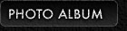 Photo Album ʐ^W